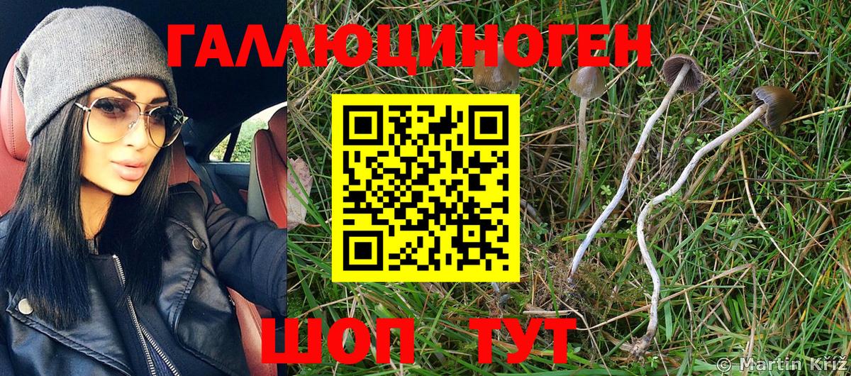 Добрянка  Псилоцибиновые грибы Magic Shrooms  Вход с VPN 